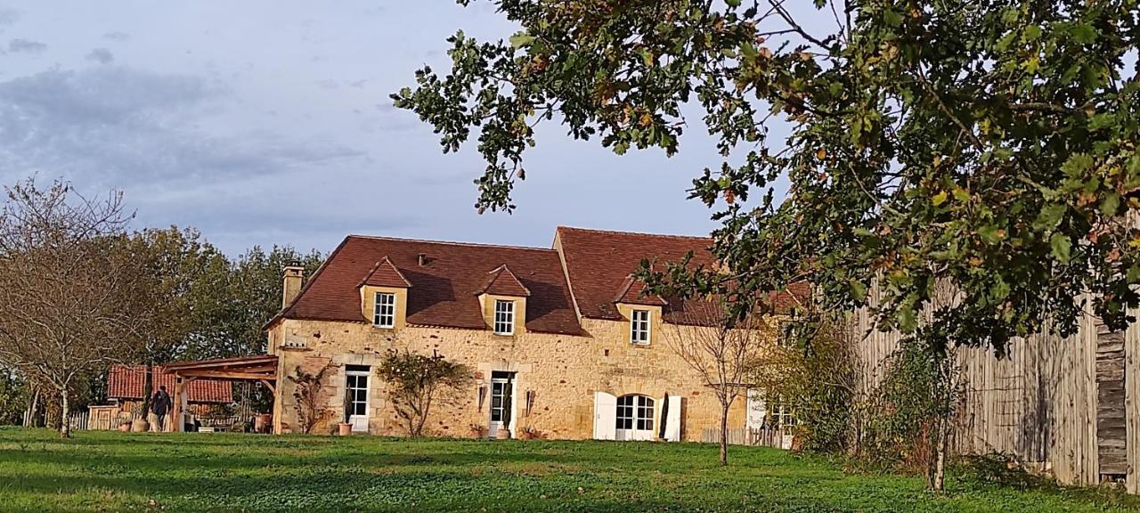Bed and Breakfast Britavit à Saint-Avit-Sénieur Extérieur photo