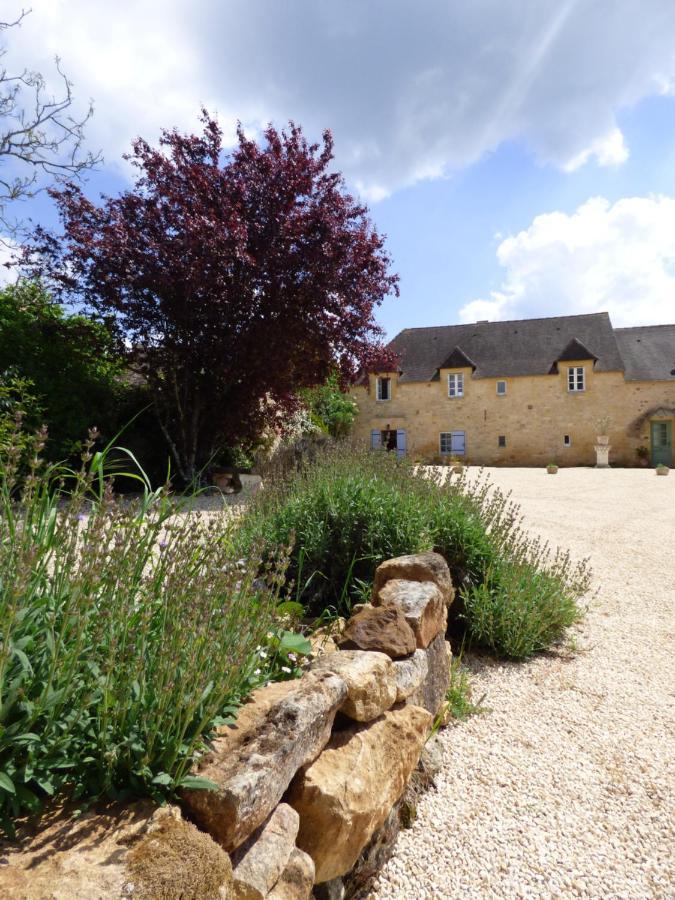 Bed and Breakfast Britavit à Saint-Avit-Sénieur Extérieur photo