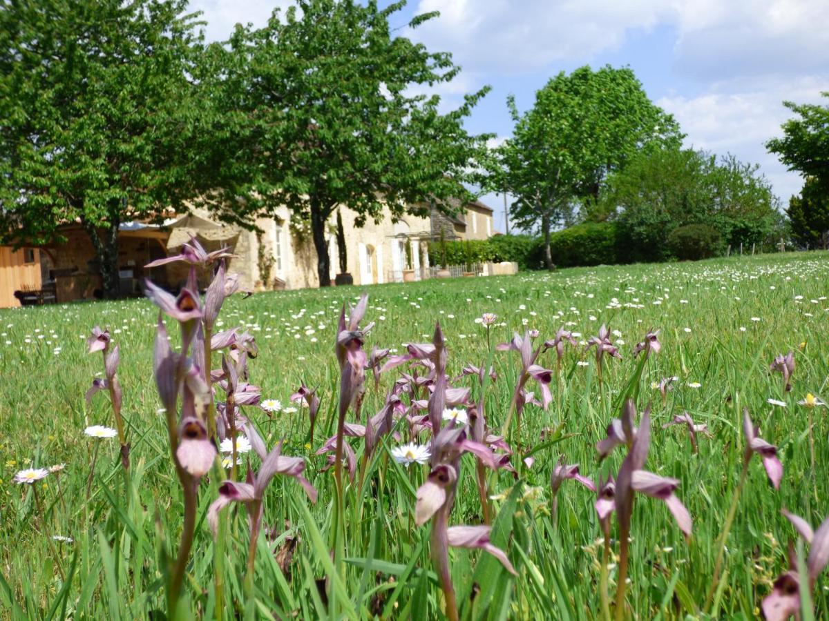 Bed and Breakfast Britavit à Saint-Avit-Sénieur Extérieur photo