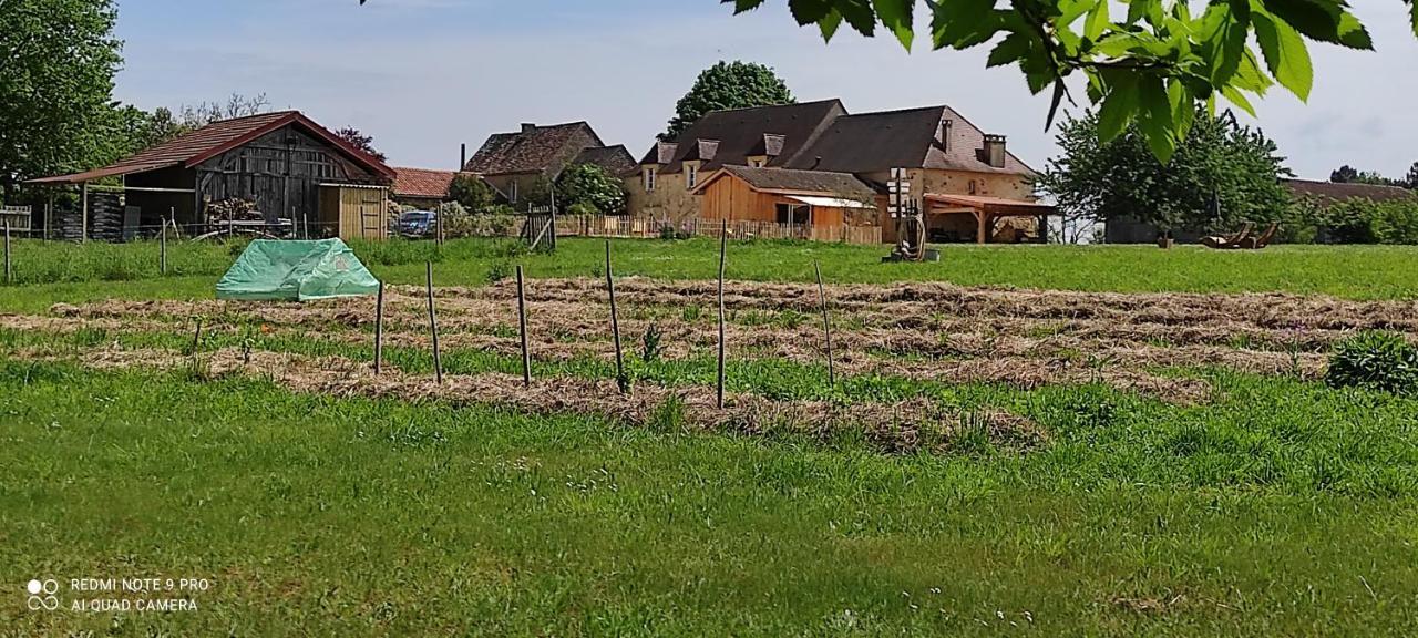 Bed and Breakfast Britavit à Saint-Avit-Sénieur Extérieur photo