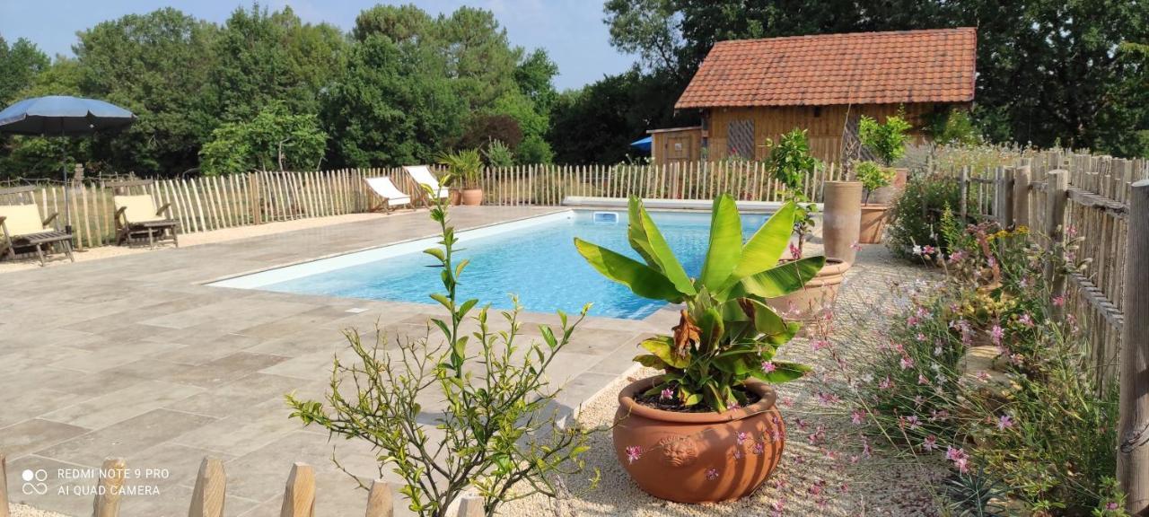Bed and Breakfast Britavit à Saint-Avit-Sénieur Extérieur photo